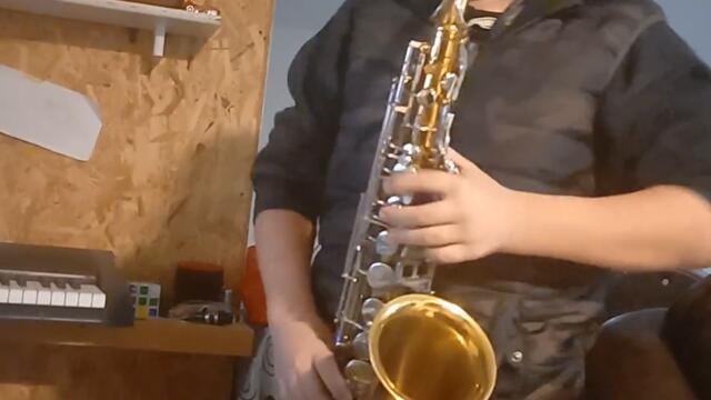 cocek samostalno učenje @stefandugalic5737