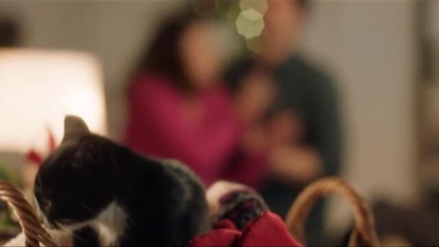 Девет котенца за Коледа The Nine Kittens of Christmas (2021)  Бг Аудио Част 2