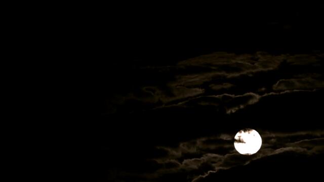 Lord Woodz - Midnight Blaze (Official Audio)