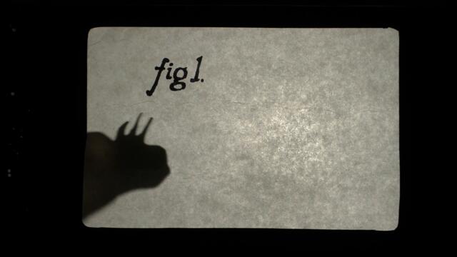 The Call Of The Moon