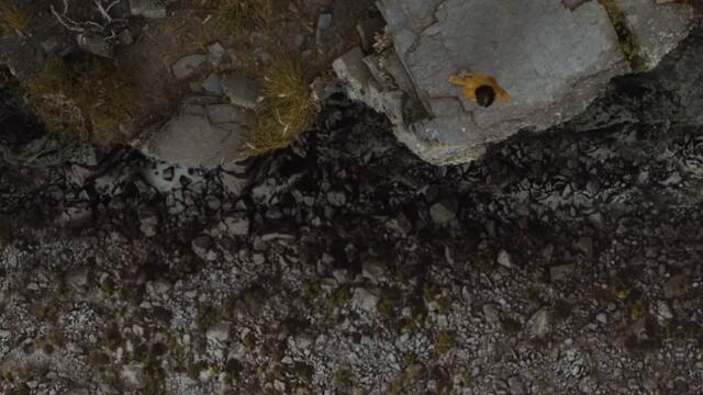 Echo 3 | Prince & Amber - Long For You