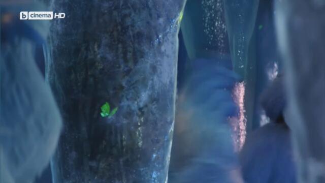 bandicam 2022-01-09 00-30-47-340