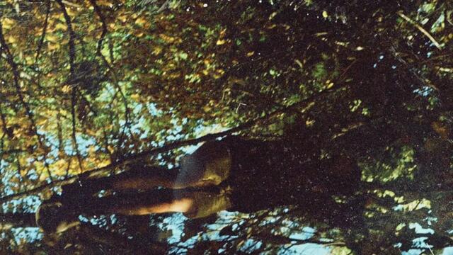 Fire In The Southern Wind