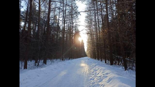 Накшатра Ардра и полнолуние в Сочельник