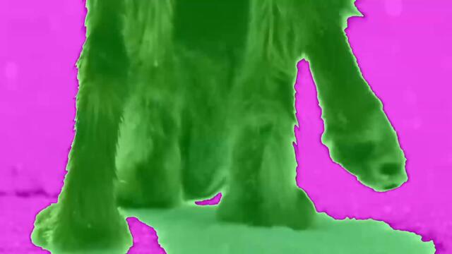 SHAMUS -  Days Of High Adventure Lyric Video