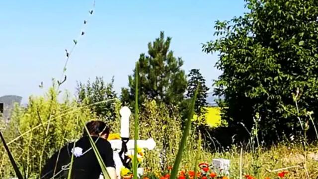 Мелани нямам край. незабравяй приказвай се случилото удари влака. тя уби. ВАЖНО!!! НЕ ПРАВИ!