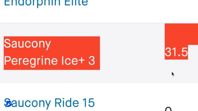 Saucony Peregrine Ice+ 3 Running Shoe Full Review