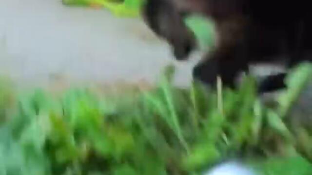 Популярное из TikTok (104 часть)