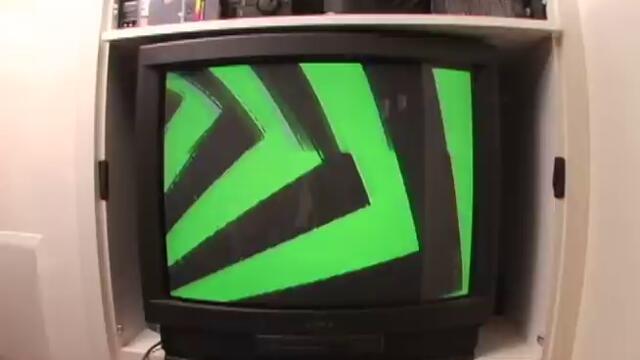 Tally Hall - Good Day