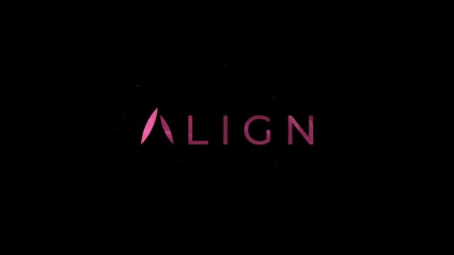 A Sky Original_Flying Tigers_Align_GFM Animation_HB Wink Animation_Aniventure_Cinesite (2022)