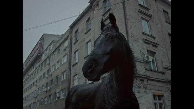 Arlo Parks - Weightless (Official Video)