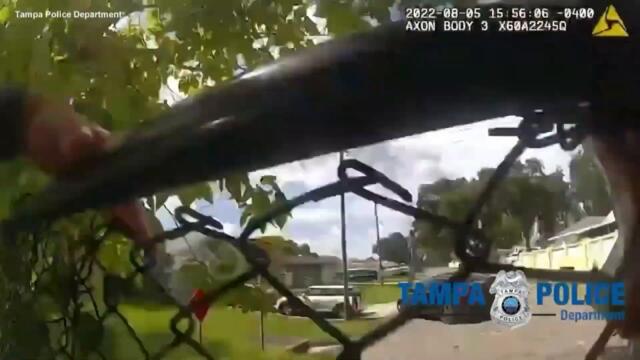 11-Month-Old Overheating Baby Girl Rescued From Stolen Car