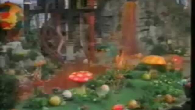 y2mate.com - Opening To See Spot Run 2001 VHS_360p