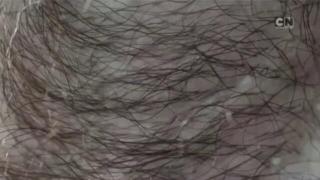 bandicam 2022-04-24 14-23-15-934