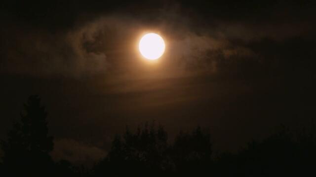 Полнолуние + квадрат Солнце - Уран в феврале