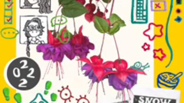 s n o w f l a k e s 2 0 2 2