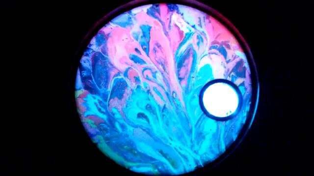 Trevor and The Joneses - Gotta Run