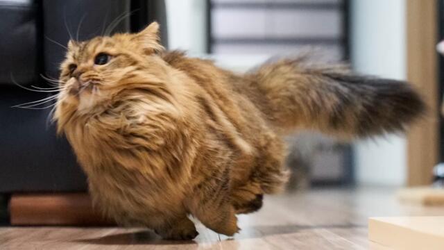 Фото, которые тебя удивят (112 часть)