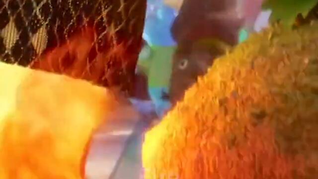 Elemental_ The Last Airbender is the Crossover We NEED #shorts