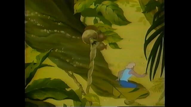 Opening to Home Alone 1991 VHS