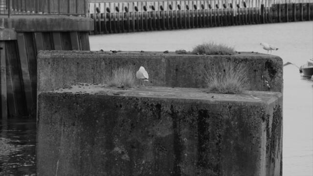 Unthank : Smith - What Maks Makems (Official Audio)