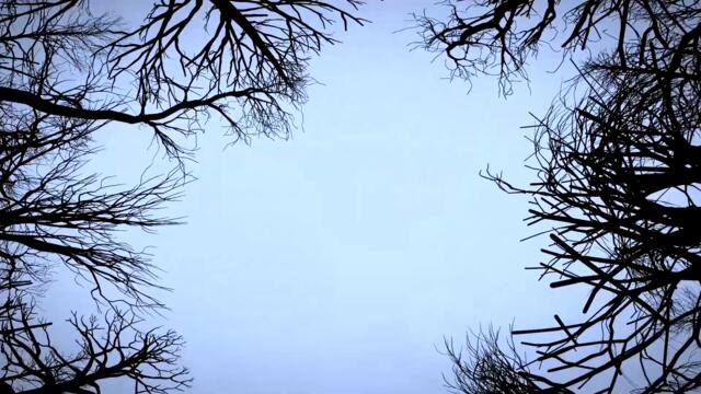 MuN - Oizyia (Official Video || Single 2023)