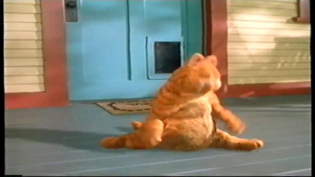 Затваряне На Гарфилд На Мей Стар Филм 2004 VHS Rip