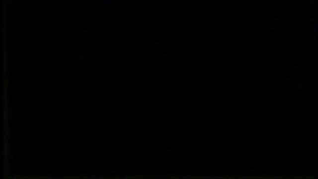 Отваряне на Принцесата лебед и тайната на замъка на Мейстар филм 1998 VHS