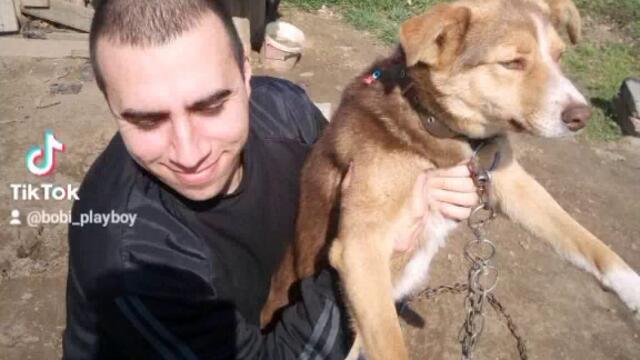 VID_30800325_081344_600