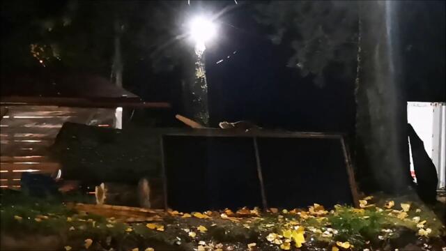 Wild Fox visits his Cat friend!