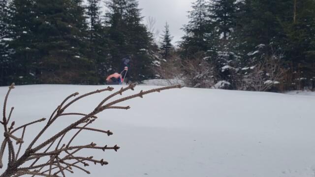 -30°C Solo Winter Camping/Survival in the Wild