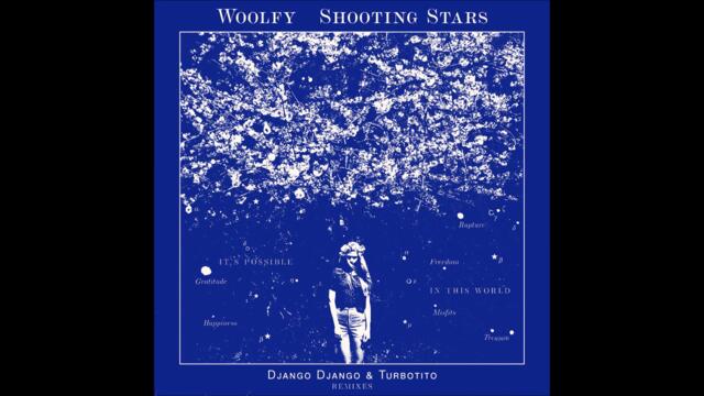 Woolfy - Shooting Stars (Turbotito Remix)