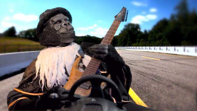 Gorilla Wizard - No Replacement for Displacement [Official Video]