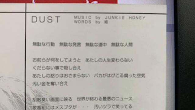 JUNKIE HONEY - DUST