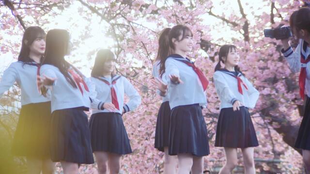 Peel the Apple - 大好きだよ、ブロッサム 【Music Video】