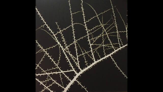 Terry Riley / Don Cherry ‎– Köln – February 23, 1975 [Full Album]