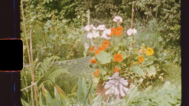 Hollow Hand - One Last Summer (Super 8 Footage, August 2021)