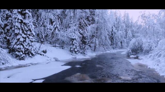 Saeva - Semblance of You - Official Lyric Video