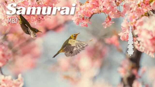 MB7 - Samurai - (epic Chillhop, avantgarde synth beats) (2023) #chillbeats #chillmusic