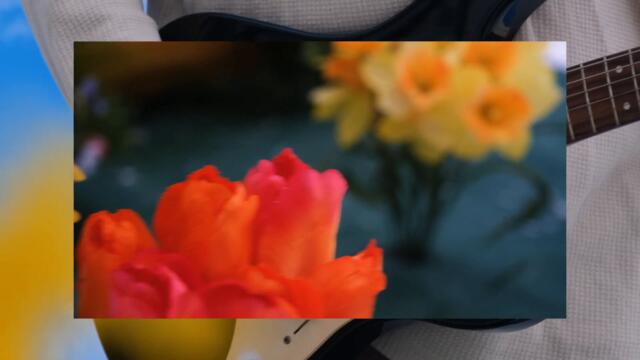 Toughie - "Tender Tension" (Official Video)