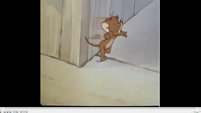 BG:TOM JERRY АНИМАЦИЯ