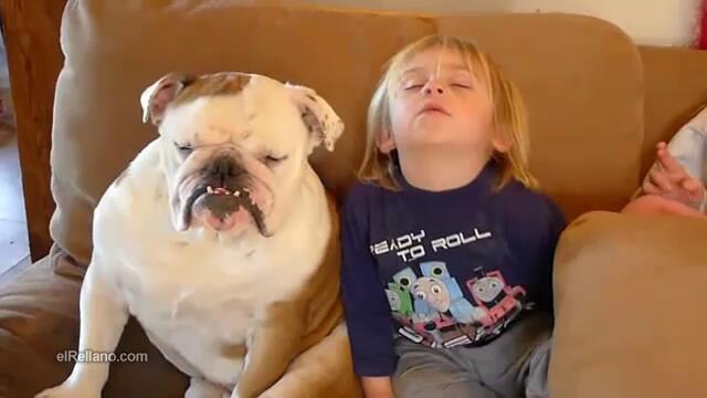 Бебе и булдог спят колективно - Vbox7[via torchbrowser.com]