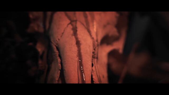 The Stranger - Eleventh Hour (Official Music Video)