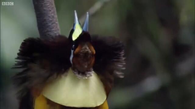 Get Low (Planet Earth Mating Remix)