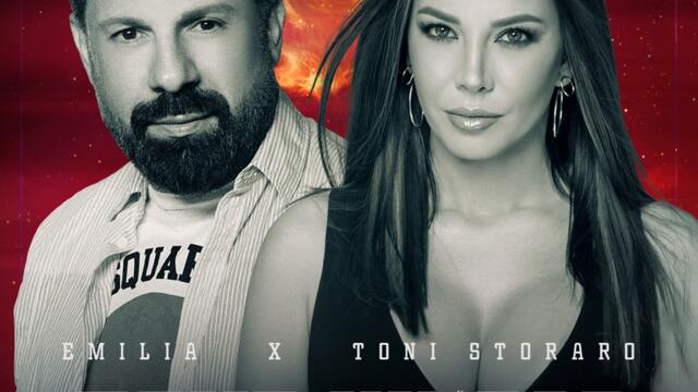 Емилия ft. Тони Стораро - Друг Живот (Audio)