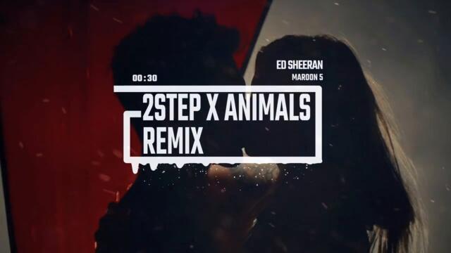 2Step - Ed Sheeran  x Animals - Maroon 5 Remix