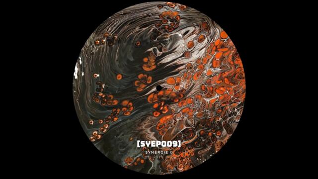 PREMIERE: Hyden - Last Charms (Alarico Remix) [SYEP009]