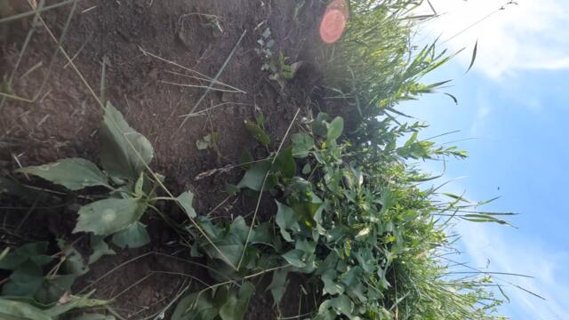 Run fast or die. Наввипередки зі смертю