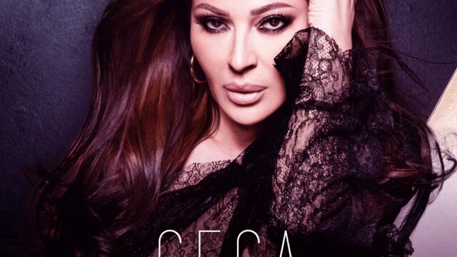 Ceca - Sta je to u tvojim venama (Audio)