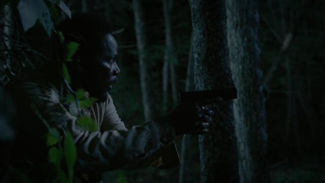 From.S01E09.Into.the.Woods.1080p.10bit.WEBRip.6CH.x265.HEVC-PSA